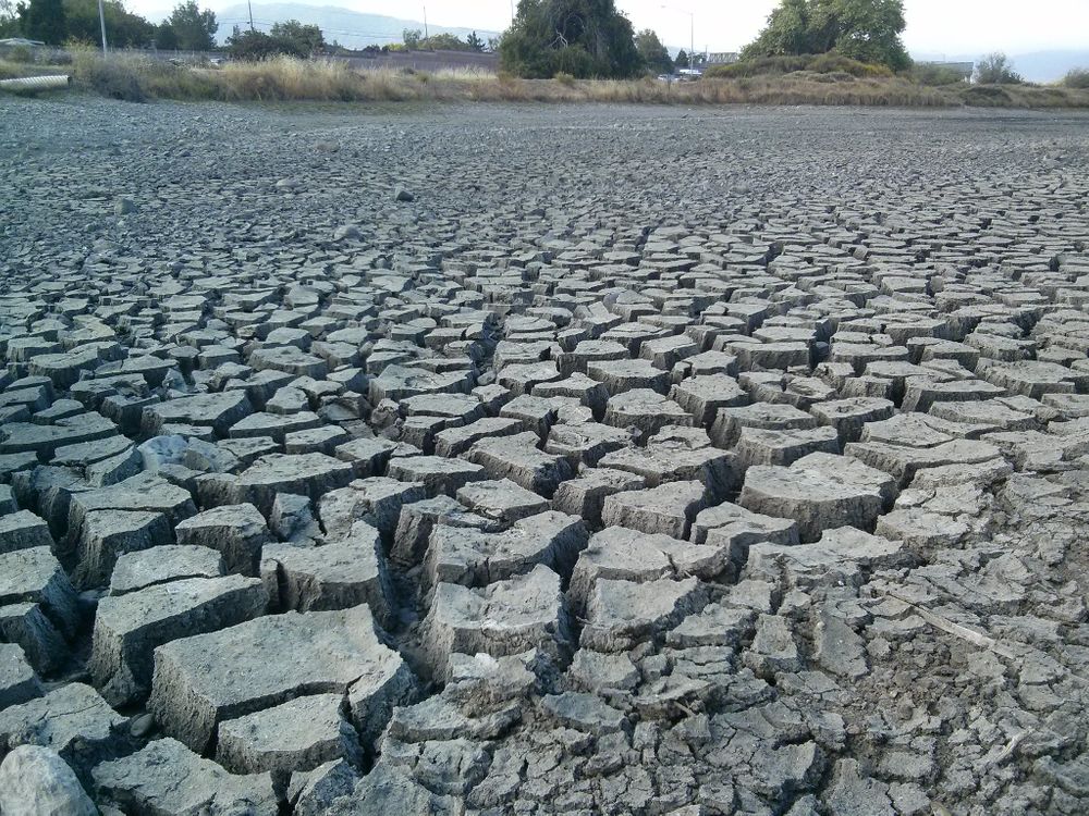 After Driest February On Record, Is A California Drought Inevitable?