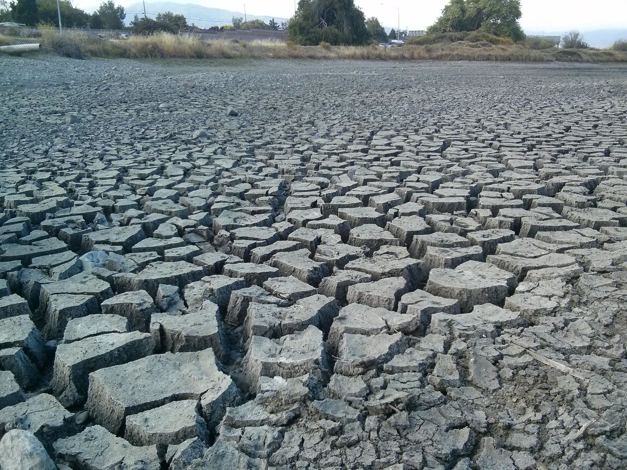 After Driest February on Record, Is Another California Drought Inevitable?