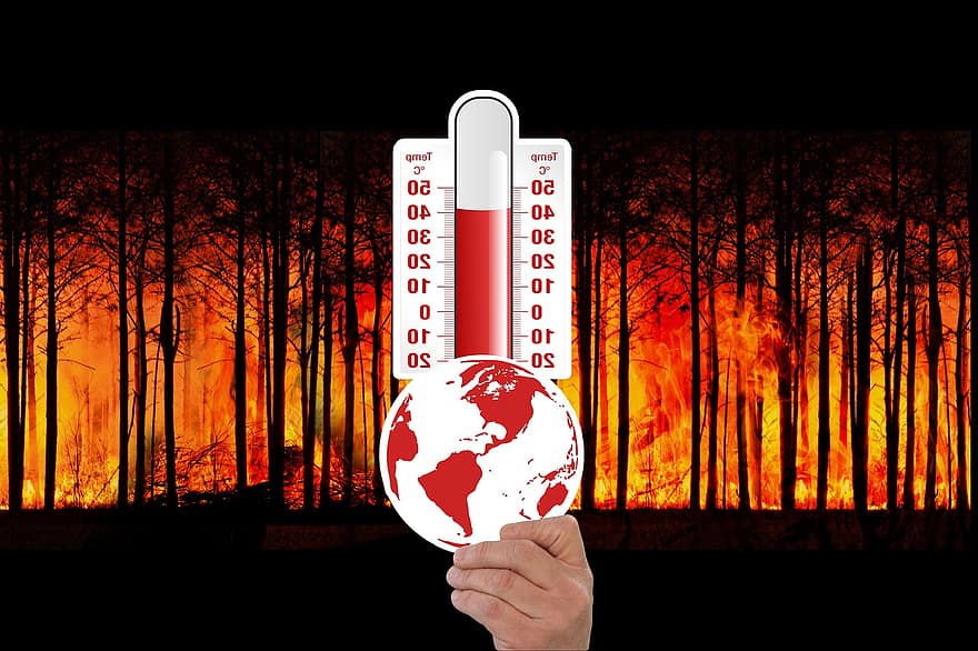Your 8-Step Guide to Climate Risk  Assessment