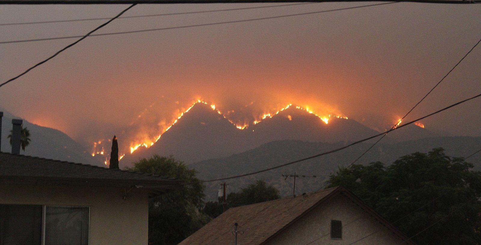 Wildfires in Western States, a Preview of the Coming Climate Change Disaster