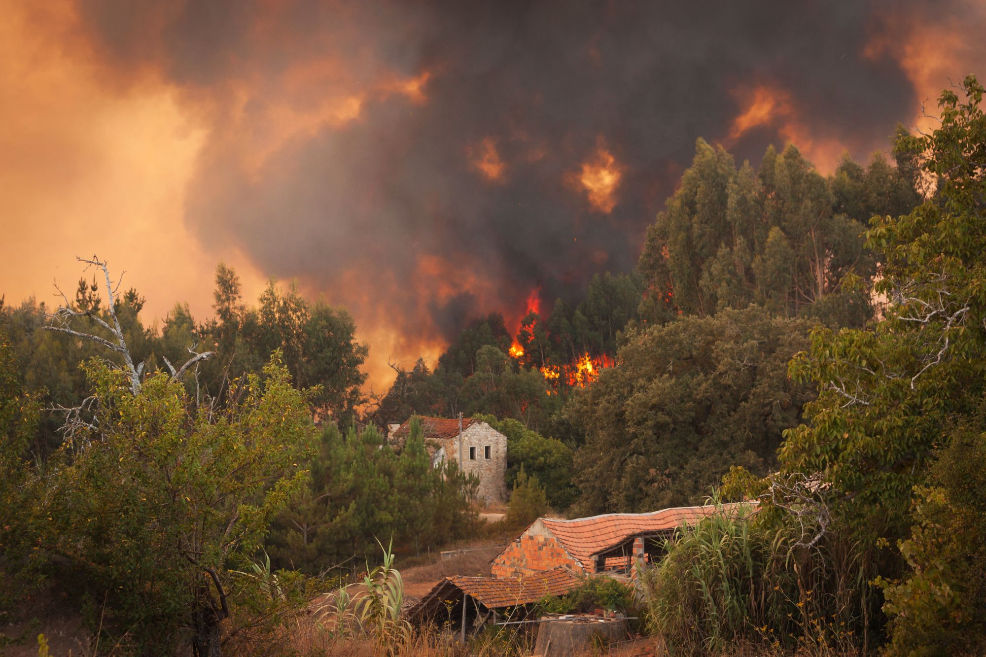 Critical Fire Danger in Southwest US