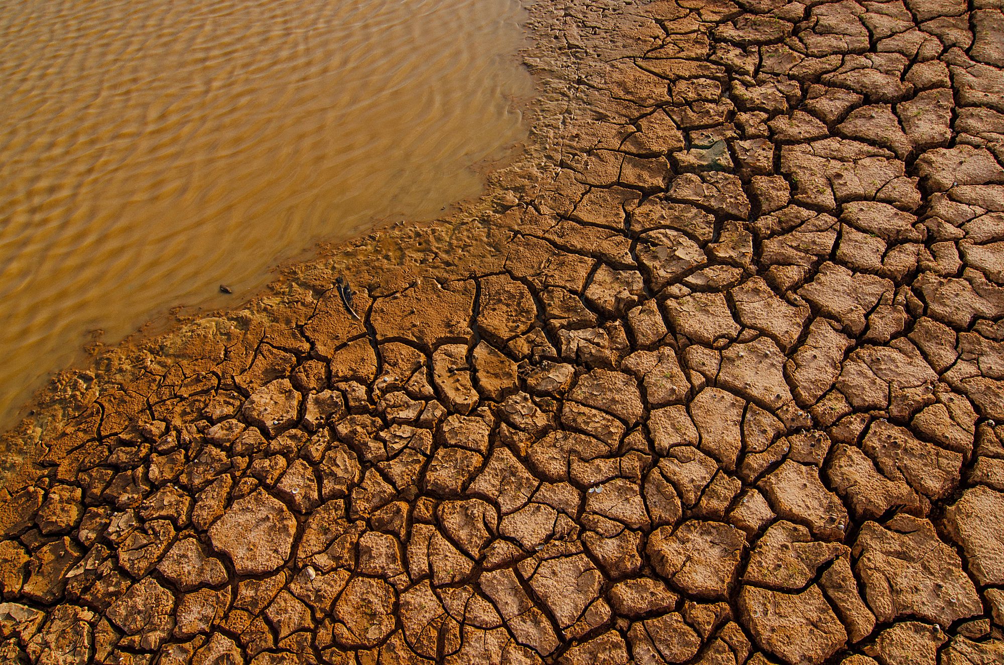 New drought risk assessment with Augurisk