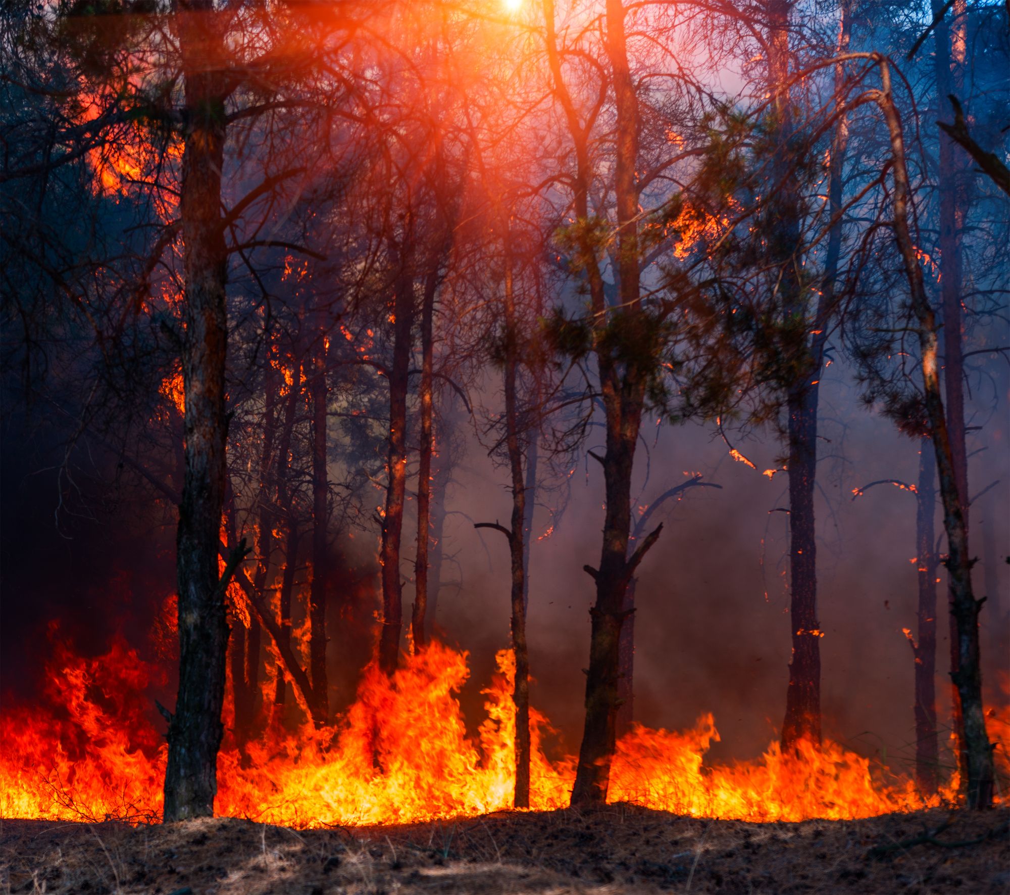 90 Million People Face Extreme Heat in the USA