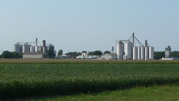 Extreme Weather Conditions Threaten Nebraska's Agricultural Productivity