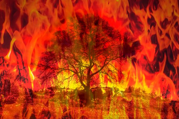 A Surreal Winter Fire Burns California